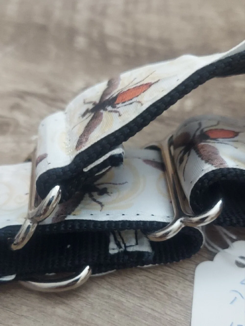 N/A vintage insect